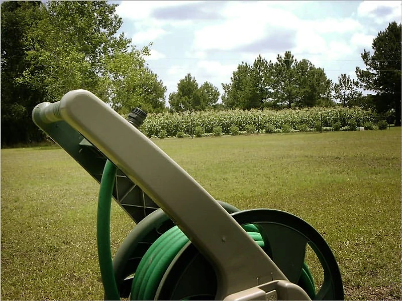 Lawn Care Guide : The Secret to Beautiful DIY Lawn