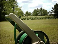 Lawn Care Guide : The Secret to Beautiful DIY Lawn