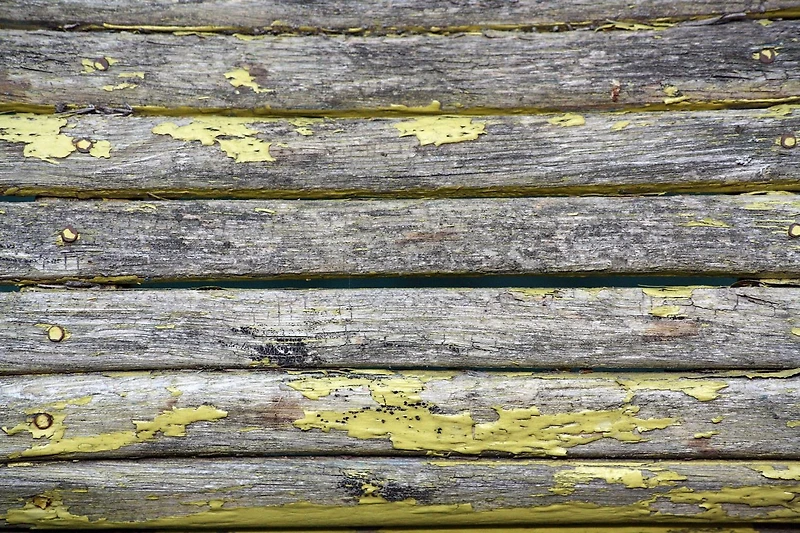 The Complete Guide to Wood Finishing: The Art of Making it Perfect