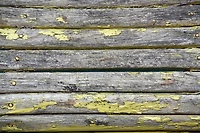 The Complete Guide to Wood Finishing: The Art of Making it Perfect