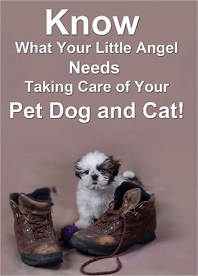 Know What Your Little Angel Needs: Taking Care of Your Pet Dog and Cat