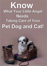 Know What Your Little Angel Needs: Taking Care of Your Pet Dog and Cat