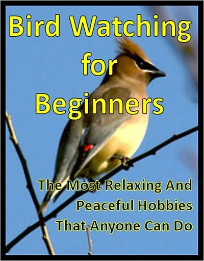 Bird Watching for Beginners: The Most Relaxing And Peaceful Hobbies That Anyone Can Do