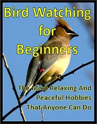 Bird Watching for Beginners: The Most Relaxing And Peaceful Hobbies That Anyone Can Do