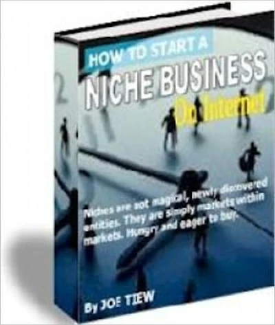 High Profit Margins - How to Start a Niche Business on the Internet