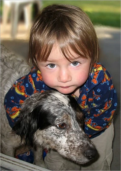 Adopt a Dog : The Adopt a Dog : The Secrets to Adopt the Right DogSecrets to Adopt the Right Dog