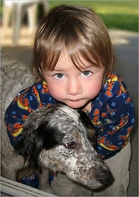 Adopt a Dog : The Adopt a Dog : The Secrets to Adopt the Right DogSecrets to Adopt the Right Dog