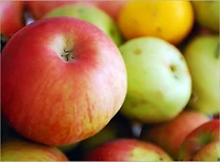 Great Compilation of Delicious Apple Recipes : The Ultimate Cookbook