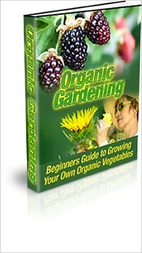 Organic Gardening: Beginners Guide to Growing Your Own Organic Vegetables