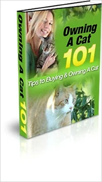 Owning A Cat: Tips to Buying and Owning a Cat