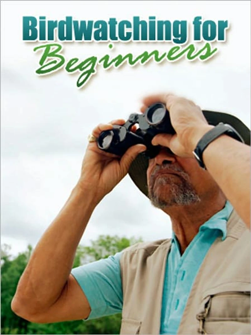 Bird Watching For Beginners