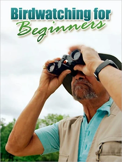 Bird Watching For Beginners