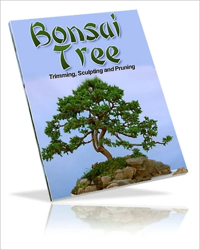 For Your Enjoyment And Fun - Bonsai Trees - Growing, Trimming
