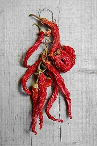 Great Collection of Chili Recipes I Personally Hand Picked for Years