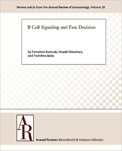 B Cell Signaling and Fate Decision
