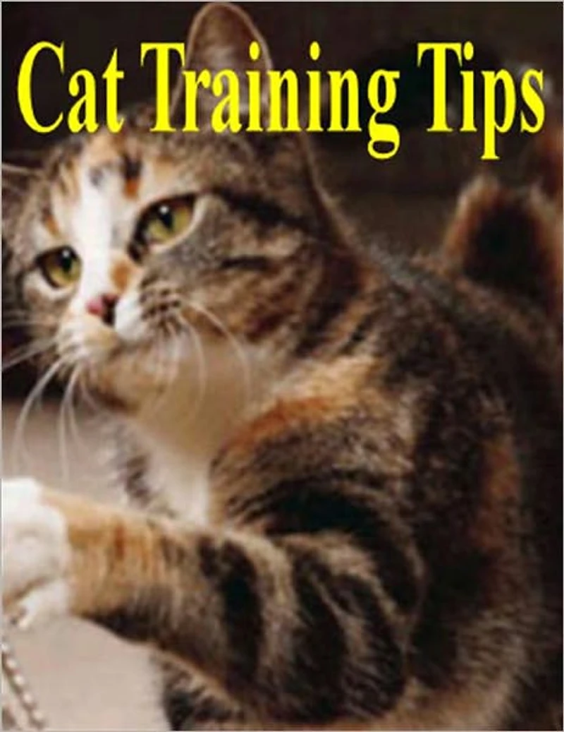 Cat Training Tips