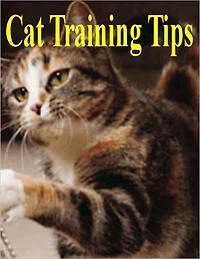 Cat Training Tips