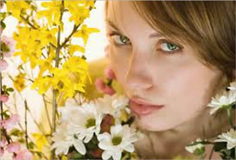 The Ultimate Allergy Relief Resource Guide