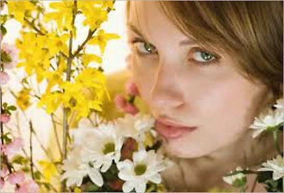 The Ultimate Allergy Relief Resource Guide