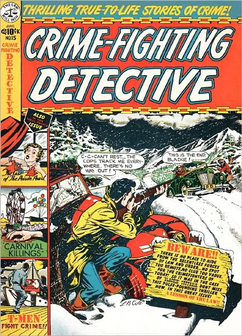 Crime Fighting Detective Number 15 Crime Comic Book