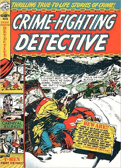 Crime Fighting Detective Number 15 Crime Comic Book