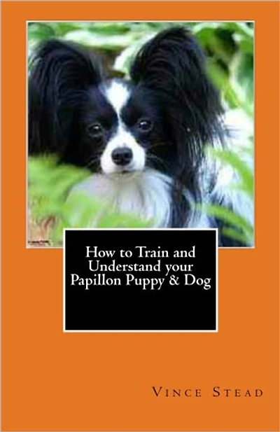 How to Train and Understand your Papillon Puppy & Dog