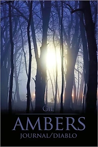 Ambers Journal/Diablo