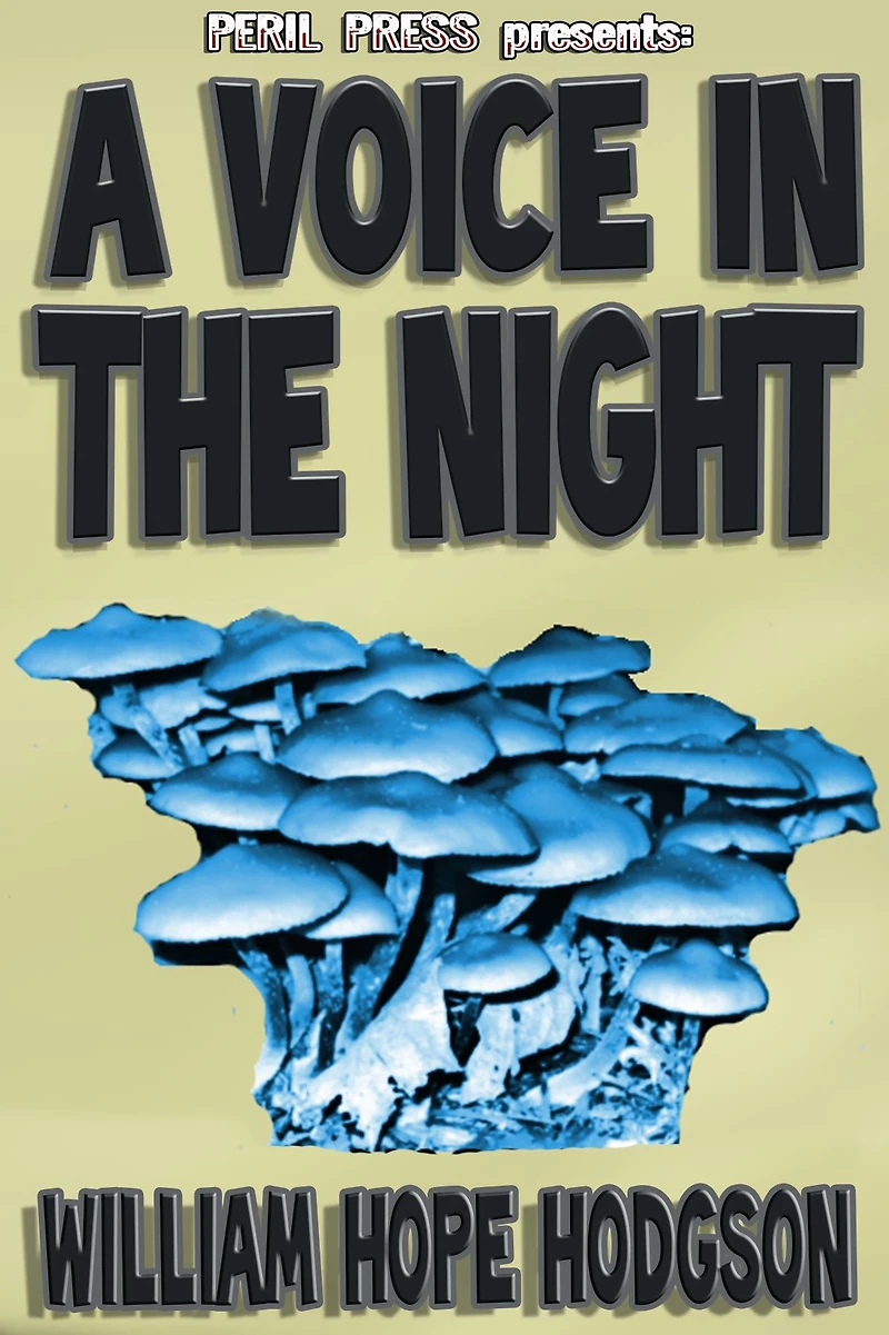 the Voice Night