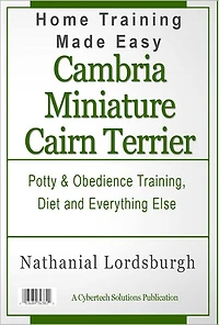 Potty And Obedience Training, Diet And Everything Else For Your Cambria Miniature Cairn Terrier