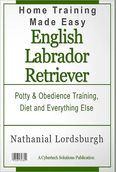 Potty And Obedience Training, Diet And Everything Else For Your English Labrador Retriever