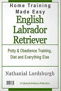 Potty And Obedience Training, Diet And Everything Else For Your English Labrador Retriever