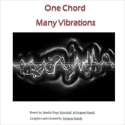 One Chord Many Vibrations