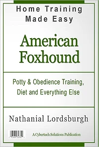 Potty And Obedience Training, Diet And Everything Else For Your American Foxhound