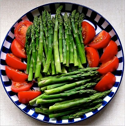 Vegetable Diet - As Sanctioned by Medical Men, and Experience All Ages
