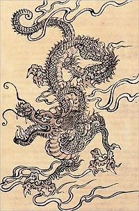 the Evolution of Dragon