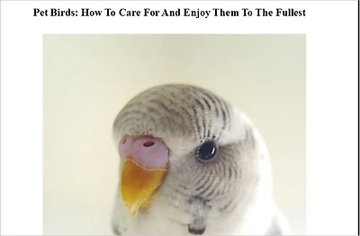 Pet Birds: How To Care For And Enjoy Them To The Fullest