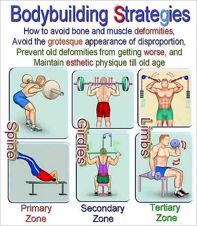 Bodybuilding Strategies