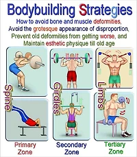 Bodybuilding Strategies
