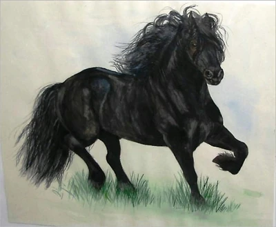 The Talking Horse (Illustrated)