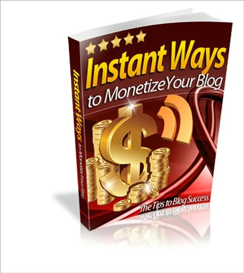 Instant Ways To Monetize Your Blog - Top 10 Ways Make Money Blogging