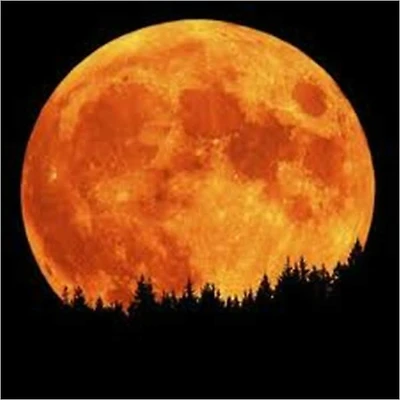 The Mad Moon