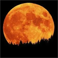 The Mad Moon