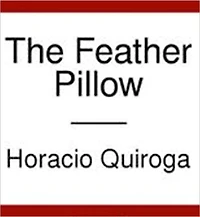 The Feather Pillow