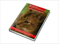 Raising Exotic Bengal Kittens Get Some Really Excellent Tips To Raise Bengal Cats