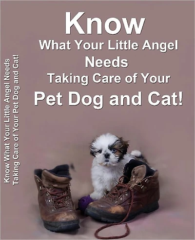 Know What Your Little Angel Needs Taking Care of Your Pet Dog and Cat!