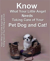 Know What Your Little Angel Needs Taking Care of Your Pet Dog and Cat!