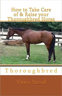 How to Take Care of & Raise your Thoroughbred Horse
