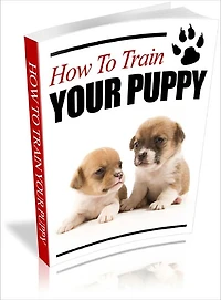 How to Train Your Puppy