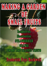 MAKING A GARDEN OF SMALL FRUITS