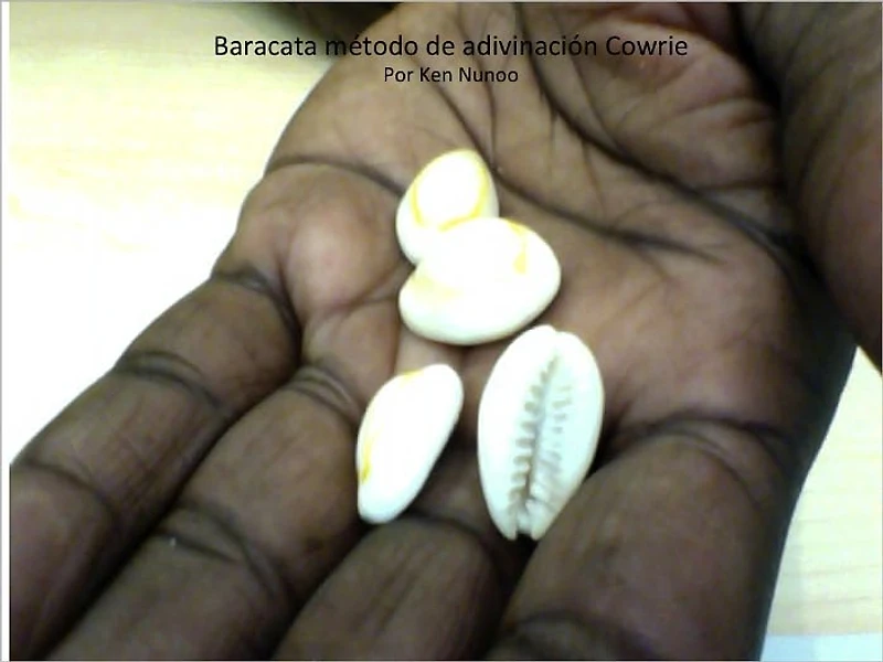 Baracata método de adivinación Cowrie